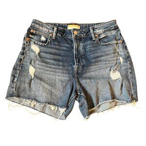 Anthropologie Pilcro Denim Distressed Hem Jeans